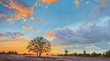 How to Paint a Sunset with Pastels