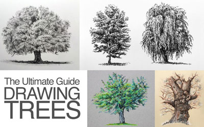 How to Draw a Tree with Colored Pencils