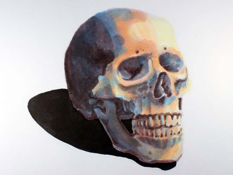 Marker Drawing of a Skull