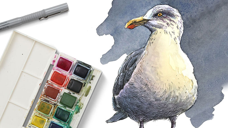 Line and Wash - Seagull